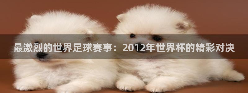 2026世界杯亚洲区预选赛：最激烈的世界足球赛事：2012年世界杯的精彩对决