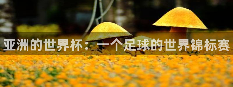 世界杯直播在线观看入口：亚洲的世界杯：一个足球的世界锦标赛