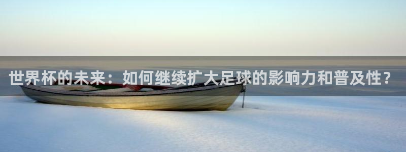 世界杯球队排名：世界杯的未来：如何继续扩大足球的影响力和普及性？
