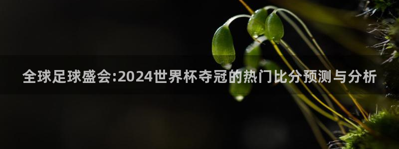 世界杯比赛直播：全球足球盛会:2024世界杯夺冠的热门比分预测与分析