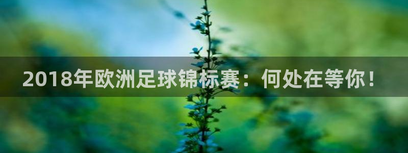 世界杯亚洲区预选赛积分榜：2018年欧洲足球锦标赛：何处在等你！