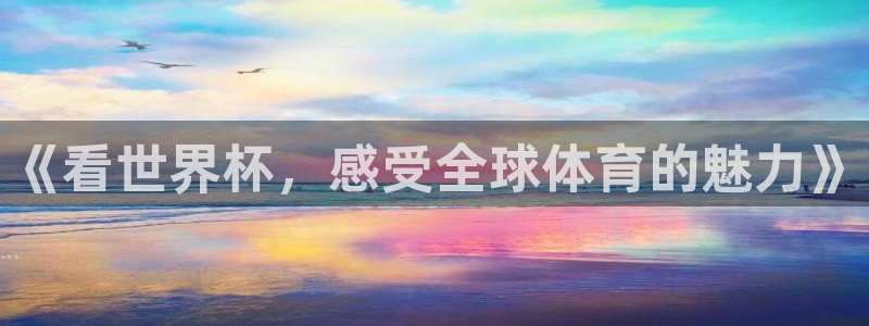 2026世界杯买球：《看世界杯，感受全球体育的魅力》