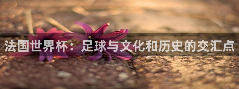 2026足球世界杯赛程时间表：法国世界杯：足球与文化和历史的交汇点