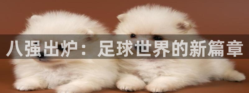 2026世界杯赛制：八强出炉：足球世界的新篇章