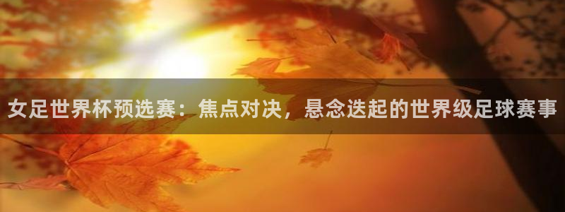 世界杯女足直播：女足世界杯预选赛：焦点对决，悬念迭起的世界级足球赛事
