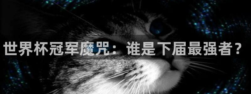 世界杯赛程表：世界杯冠军魔咒：谁是下届最强者？