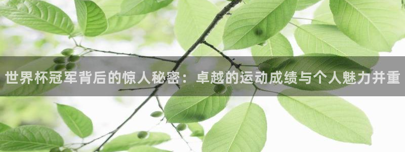 2006世界杯：世界杯冠军背后的惊人秘密：卓越的运动成绩与个人魅力并重