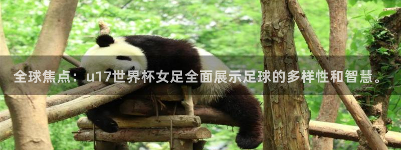 世界杯亚洲区预选赛赛程表：全球焦点：u17世界杯女足全面展示足球的多样性和智慧。