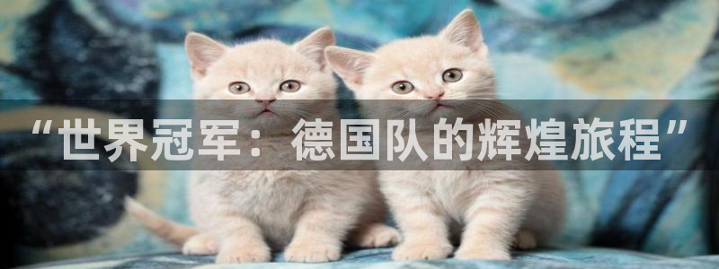 世界杯球队排名：“世界冠军：德国队的辉煌旅程”